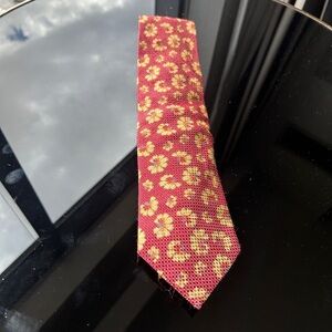 Ermenegildo Zegna Men's 100% Silk tie thanksgiving holiday christmas pattern